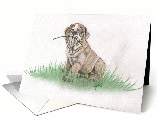 Bulldog Puppy card (944696)