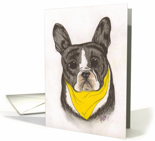 Boston Terrier card (944699)