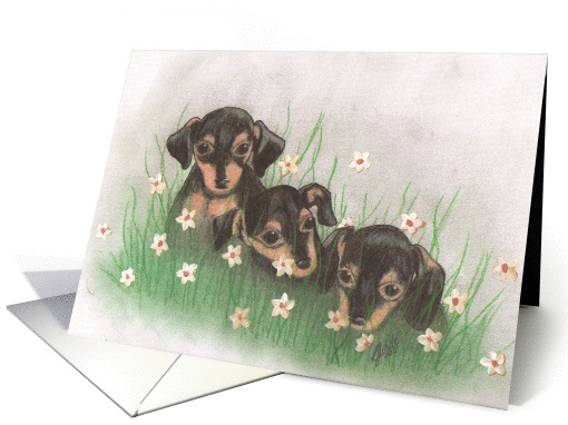 Minpin Puppies card (944700)
