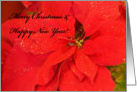 Merry CHristmas & Happy new year poinsetita card