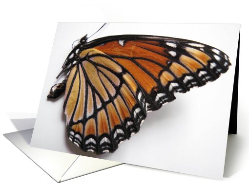 Butterfly Wings card (676976)