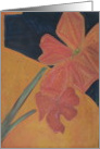 Flowers in Pink & Gold card