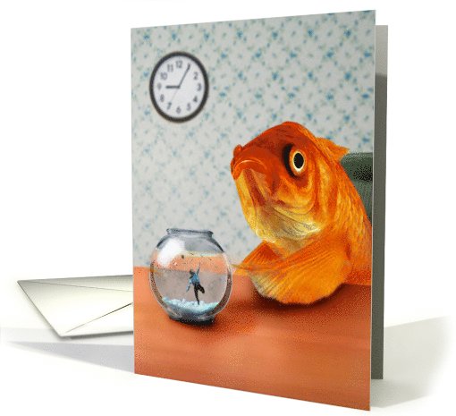 Fish Out Of Water card (610102)
