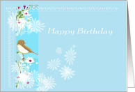 Happy Birthday, little bird on sky blue card