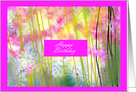 Birthday, pastel flowers in field, daises card