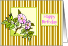 Pink Hedge Rose on Striped Background Birthday Card