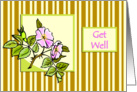 Pink Hedge Rose on Striped Background Get Well card