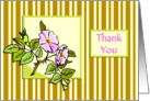Pink Hedge Rose on Striped Background Thank You card