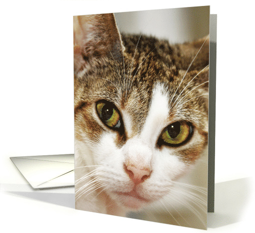 I've got my eye on you card (597493)