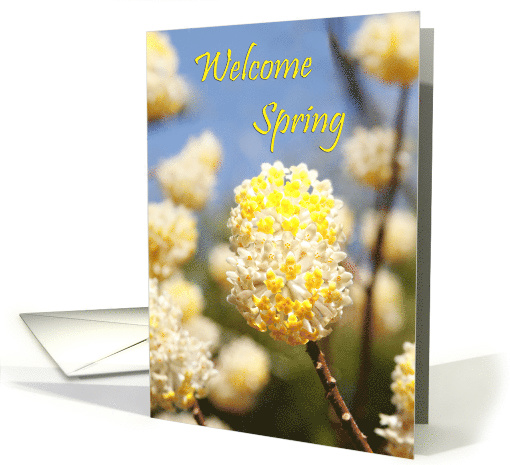 Welcome Spring card (597508)