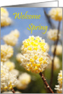 Welcome Spring card