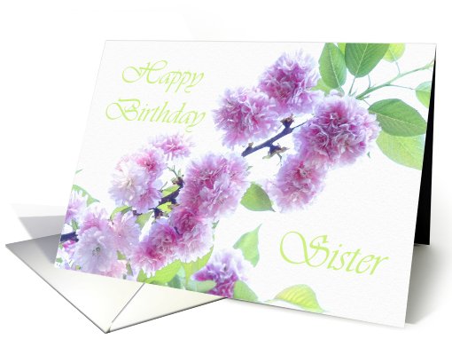 Happy Birthday Sister ~ Cherry Blossoms card (606217)