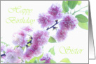 Happy Birthday Sister ~ Cherry Blossoms card