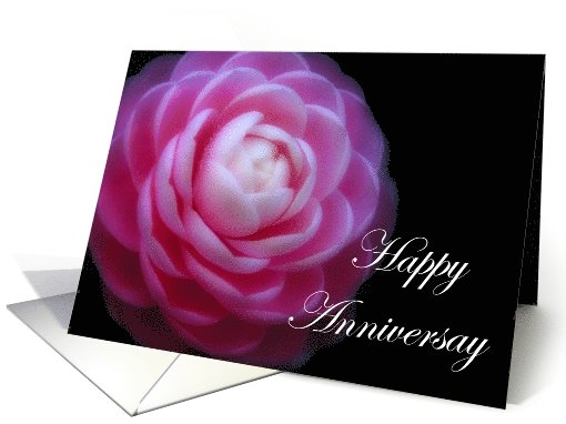Camelia Flower ~ Happy Anniversary card (619479)