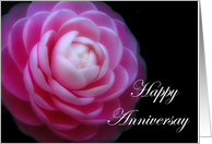 Camelia Flower ~ Happy Anniversary card