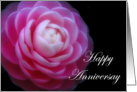 Camelia Flower ~ Happy Anniversary card