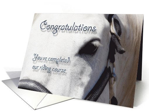 White Horse Close Up~Riding Course Completion card (644591)