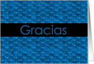 Gracias ~ Thank you...