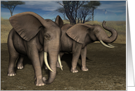 Elephant Blank Note Card