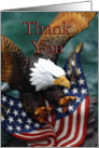 Thank You ~ American Bald Eagle card