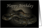 Happy Birthday for the Snake lover ~ python card