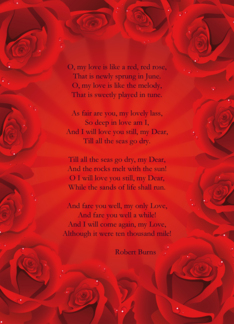 Red Rose Valentine...