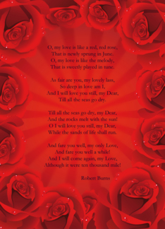 Red Rose Anniversary...