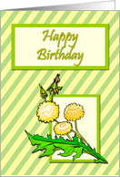 Dandelions on Striped Background Birthday Card