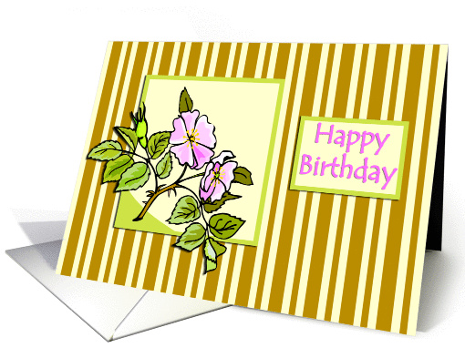 Pink Hedge Rose on Striped Background Birthday card (838708)