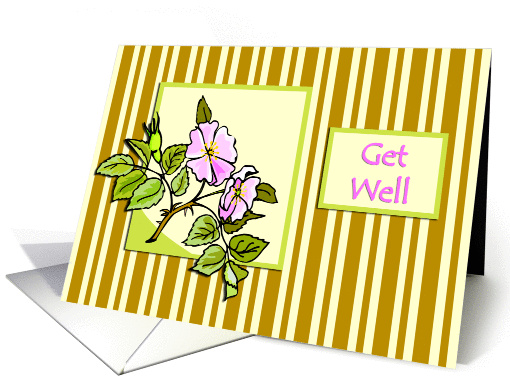 Pink Hedge Rose on Striped Background Get Well card (838710)