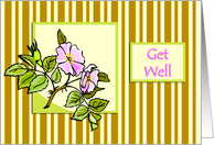 Pink Hedge Rose on Striped Background Get Well card