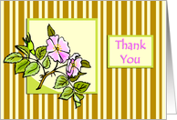 Pink Hedge Rose on Striped Background Thank You card