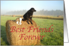 Best Friends Forever card
