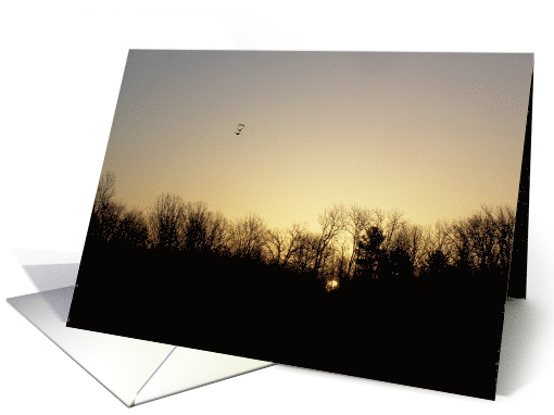 Birds at Sunrise card (599314)