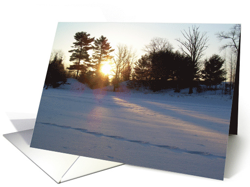 Sunrise Pines - Dawn 01mar10 card (599335)