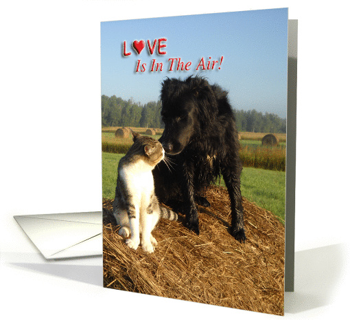 Valentine's Day - Love Is In The Air card (890013)
