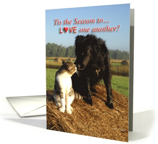 Season To Love one another card (890014)