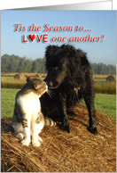 Season To Love one another card