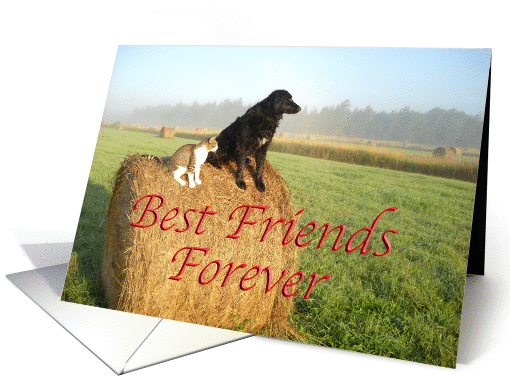 Best Friends Forever card (890048)