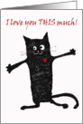 , crazy black cat.I love you this much.blank card