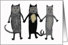 Three cats, holding paws.blank cards. card