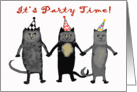 Invitation Party, crazy catS.humor, PARTY HATS card