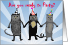 Invitation to party,cats.humor, party hats card