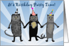 Invitation to Birthday party,cats.humor PARTY HATS card