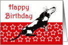 Happy Birthday,sad black and white hound on red and white stars card