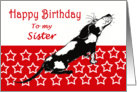 Happy Birthday,to my sister,sad black and white hound, card