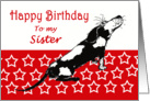 Happy Birthday,to my big sister,sad black and white hound, card