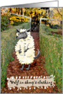 ,Wolf , for ex-husband,you led up the garden path, humor card