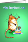 An Invitation to Birthday Party, crazy cat and cake with candles. card