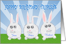 Happy Birthday Triplets, three white bunny rabbits.Custom card